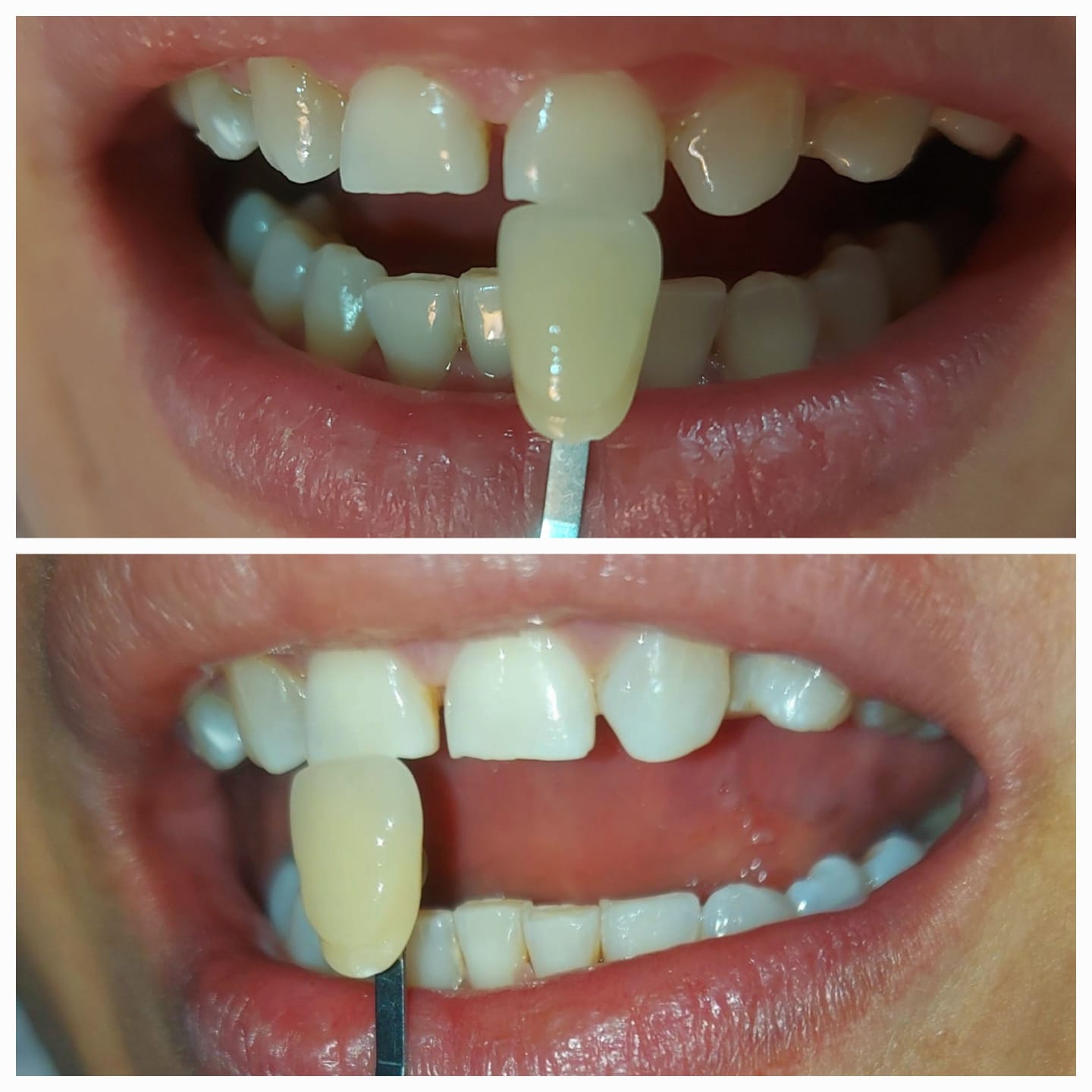 WhatsApp Image 2025-02-03 at 09.17.47 (1)