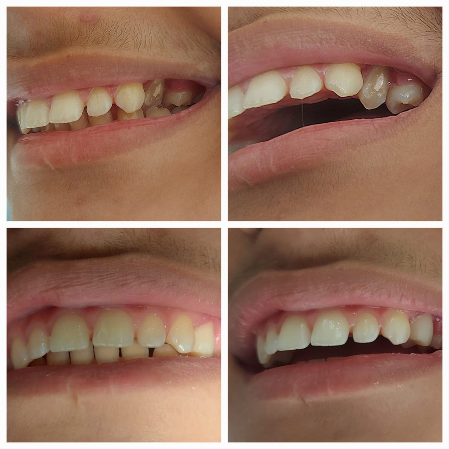 WhatsApp Image 2025-02-04 at 12.34.04